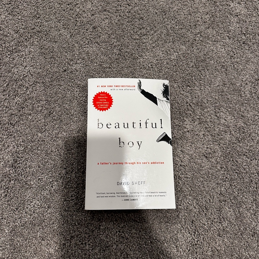 Beautiful Boy Book by David Sheff